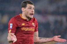 Belotti